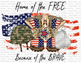 Home of the Free - Waterslide, Sublimation Transfers
